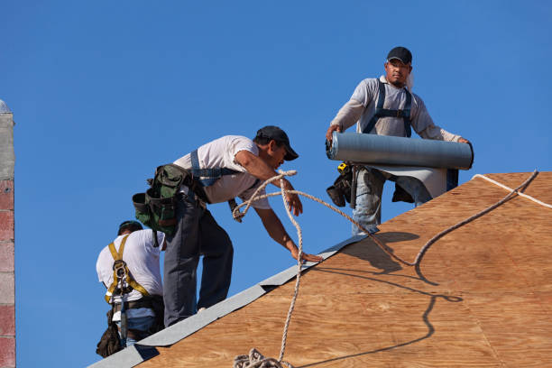 Roof Gutter Cleaning in Honey Grove, TX