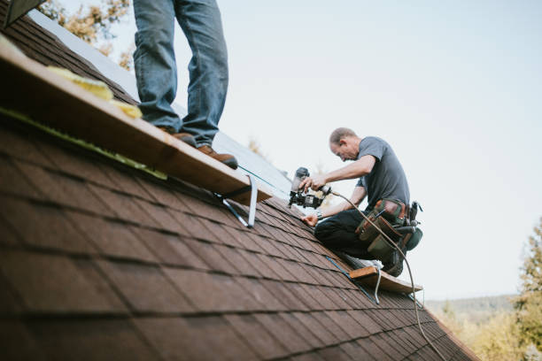 Gutter Installation and Roofing in Honey Grove, TX